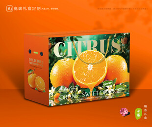红美人包装 橙子礼盒