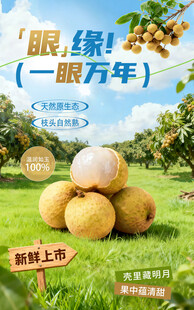 龙眼海报 