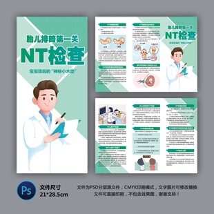 NT筛查健康知识