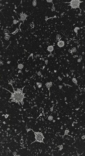 黑色斑点纹理背景图