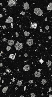 黑色背景上的白色颗粒