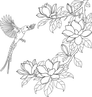 花鸟线描图 矢量图