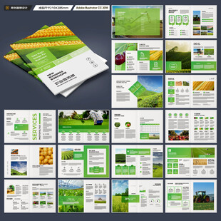 农产品宣传册