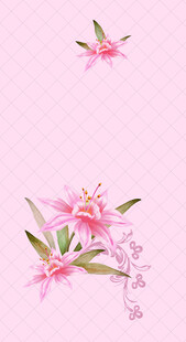 粉色花卉图案 清新雅致