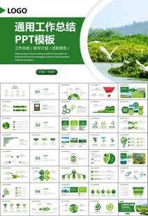 湿地环境保护生态森林业PPT