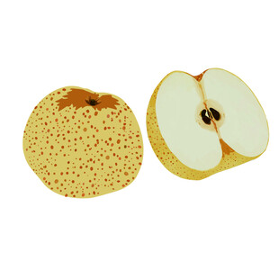 新鲜带斑点的梨及切面  手绘梨