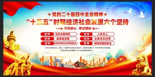 二十届四中全会精神