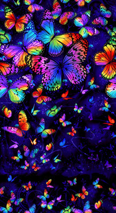 梦幻多彩蝴蝶群