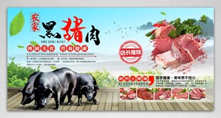 农家土猪肉 黑猪肉灯箱展板