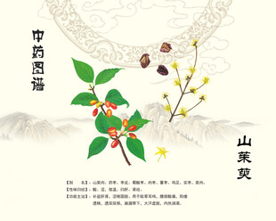 茱萸山茱萸吴茱萸
