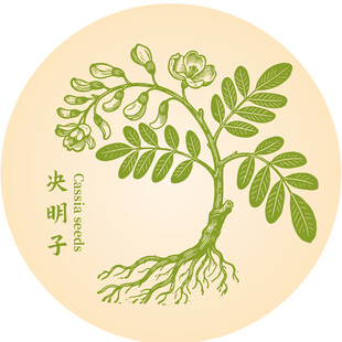 圆形插画中的决明子植物