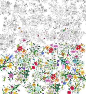 彩色花卉图案与黑白线稿对比