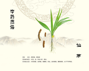中药仙茅中草药仙茅