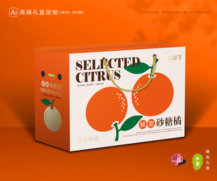 砂糖桔包装 蜜桔礼盒