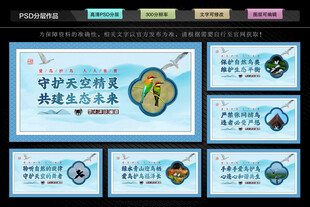 爱鸟护鸟文化墙