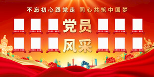 党员风采宣传展板