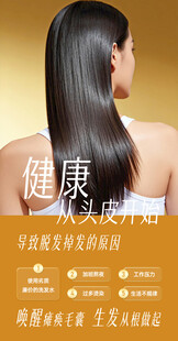 健康秀发从头皮开始养护
