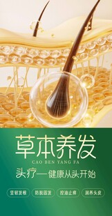 草本养发开启育发新体验