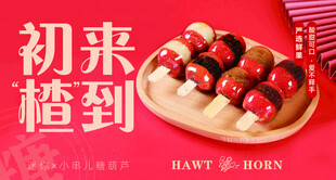 初来楂到糖葫芦 