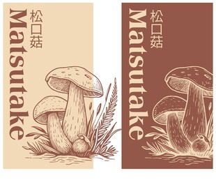 手绘松茸松口菇