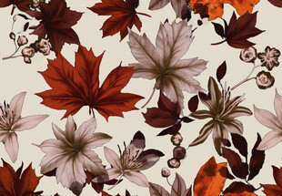 秋季枫叶花卉图案背景