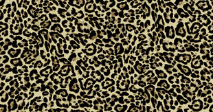 豹纹纹理图案