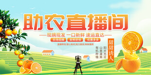 助农直播