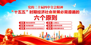 二十届四中全会精神