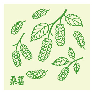 手绘桑葚图案设计元素