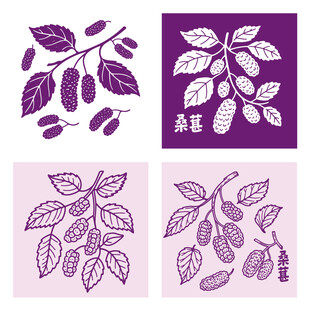 紫色桑葚水果图案设计素材