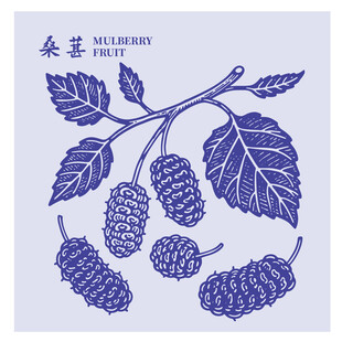 手绘桑葚枝叶果实图案