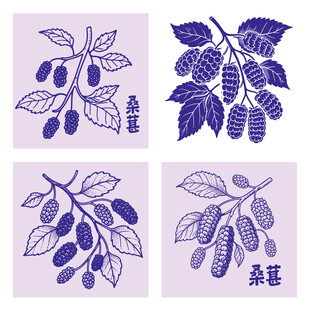 手绘桑葚枝叶果实图案