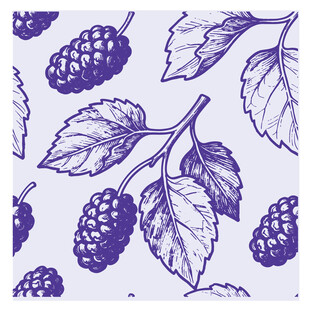 手绘桑葚图案背景设计