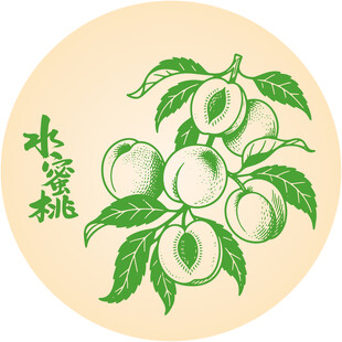 手绘水蜜桃插画