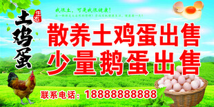 农家散养土鸡蛋