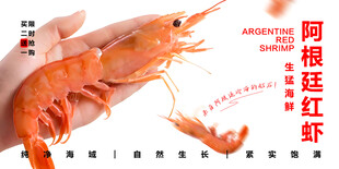阿根廷红虾 