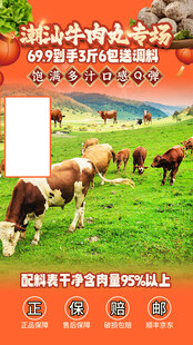 潮汕牛肉丸直播间贴片背景