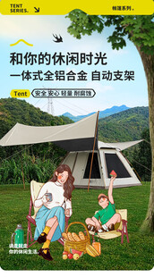 和宠物的户外休闲时光