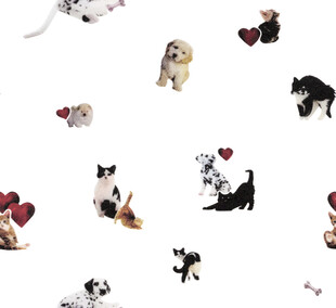 可爱猫狗图案集合