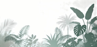 雾气磨砂膜效果绿植贴图