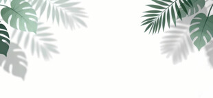 雾气磨砂膜效果绿植贴图