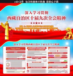 西藏自治区十届九次全会