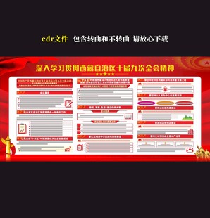 西藏十届九次全会