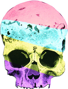 多彩拼接骷髅头图案