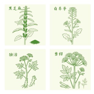 独活当归黑芝麻白芥子草药植物