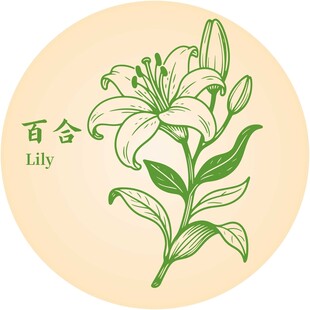 手绘百合花图案