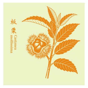 板栗枝叶图案设计