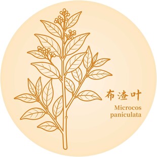 布渣叶植物线描图案