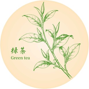 手绘绿茶枝叶图案