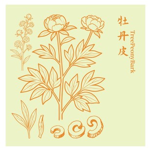 牡丹皮植物线稿图案